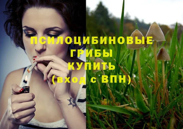 мяу мяу мука Ладушкин