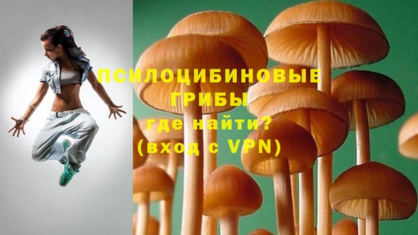 амф Лабытнанги