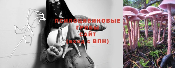 амф Лабытнанги